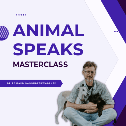 Animal Speaks Masterclass by Dr. Edward Bassingthwaighte