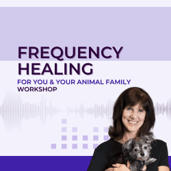 Frequency Healing For You And Your Animal Family Workshop by Dr. Susan Wagner