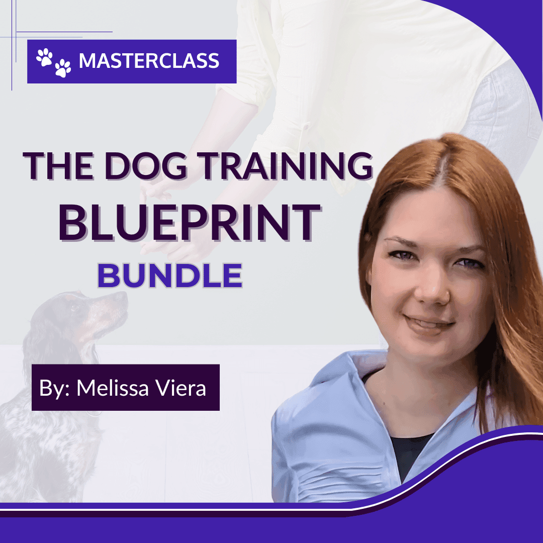 Dog Training Blueprint Bundle