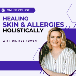 Healing Skin & Allergies Holistically Online Course by Dr. Roz Rowen