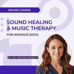 Sound Healing and Music Therapy for Anxious Dogs by Dr. Meghan Barrett