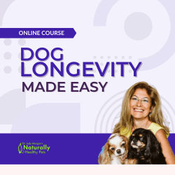 Dog Longevity Made Easy by Dr. Judy Morgan