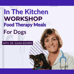 In The Kitchen Workshop: Food Therapy Meals for Dogs by Dr. Susan Bohrer